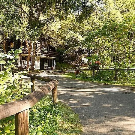 Tidy With Fireplace, Located In Wooded Area Schonecken