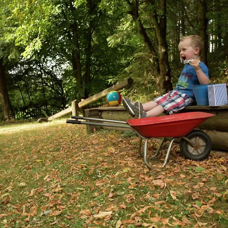 In Germany With Fireplace & Terrace Schönecken