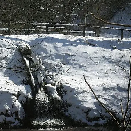Tidy With Fireplace, Located In Wooded Area Chalet Schonecken