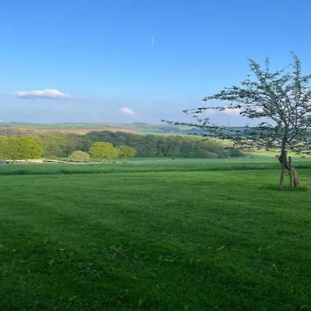 Chalet In Germany With Fireplace & Terrace *