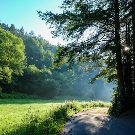 In Germany With Fireplace & Terrace Chalet Schönecken