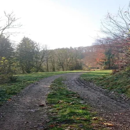 In Germany With Fireplace & Terrace Schönecken