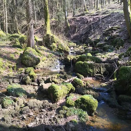 In Germany With Fireplace & Terrace