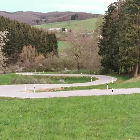 Chalet In Germany With Fireplace & Terrace *