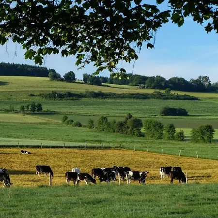 In Germany With Fireplace & Terrace *