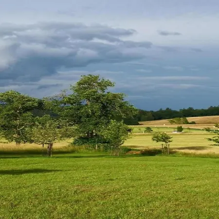 In Germany With Fireplace & Terrace