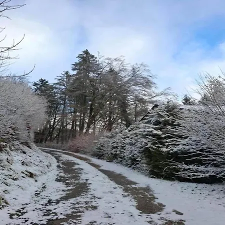Chalet In Germany With Fireplace & Terrace