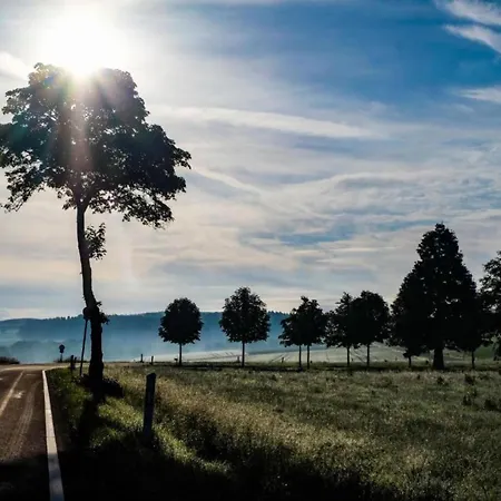 In Germany With Fireplace & Terrace Schönecken
