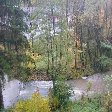 In Germany With Fireplace & Terrace Chalet