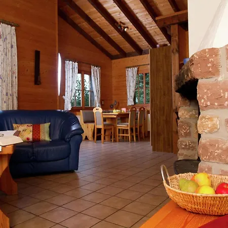 In Germany With Fireplace & Terrace