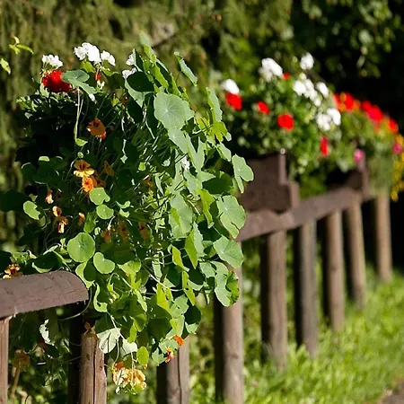 In Germany With Fireplace & Terrace *