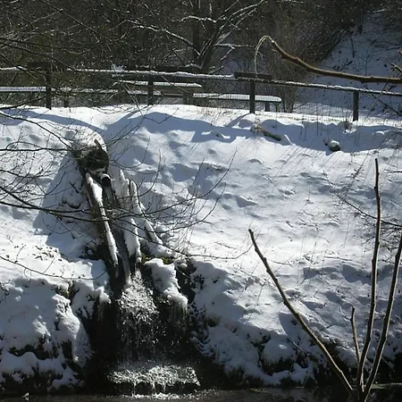Chalet In Germany With Fireplace & Terrace Schönecken