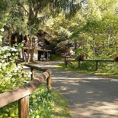 In Germany With Fireplace & Terrace Chalet