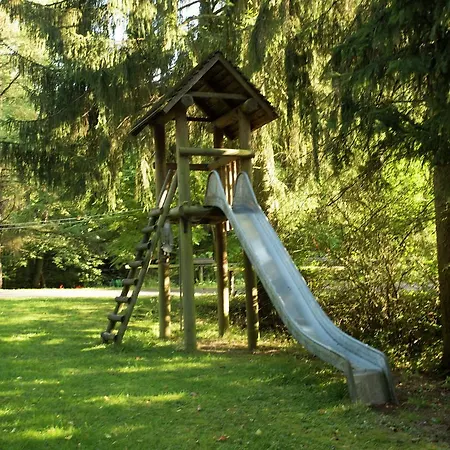 In Germany With Fireplace & Terrace *