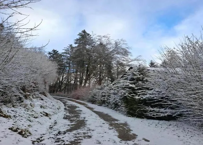Chalet In Germany With Fireplace & Terrace