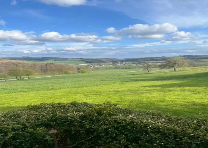 In Germany With Fireplace & Terrace *