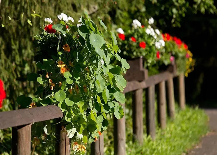 In Germany With Fireplace & Terrace *